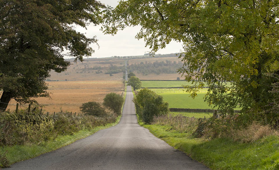 Road going off into the distance